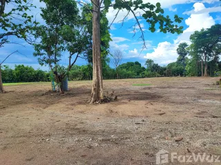 出售 土地 在 Saraphi, Chiang Mai