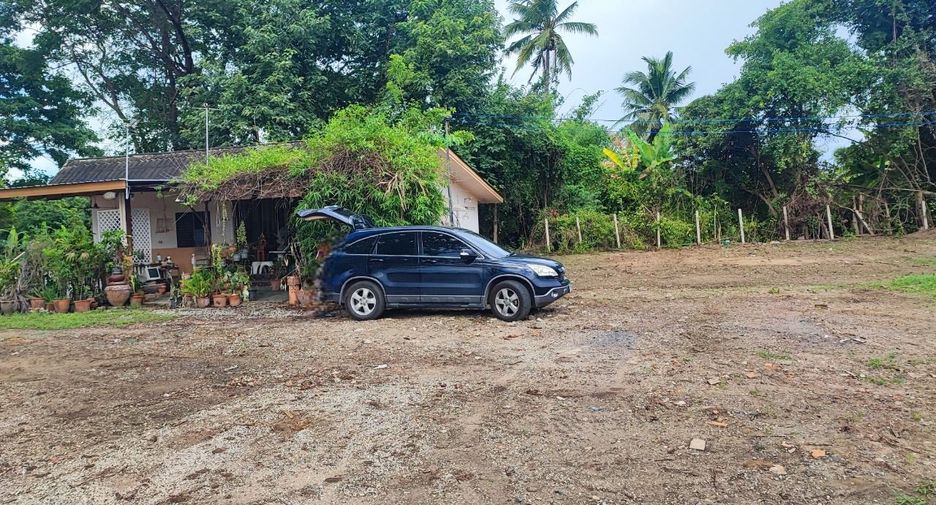 For sale land in Saraphi, Chiang Mai