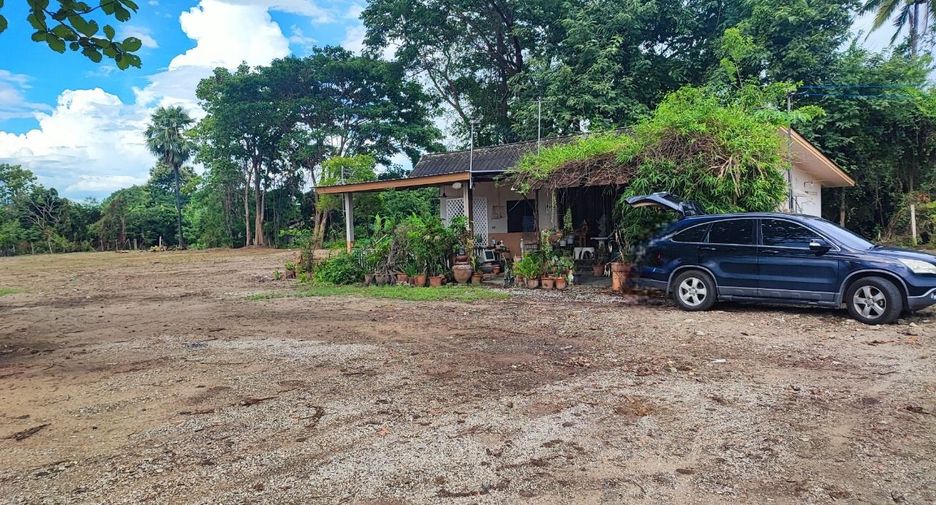 For sale land in Saraphi, Chiang Mai