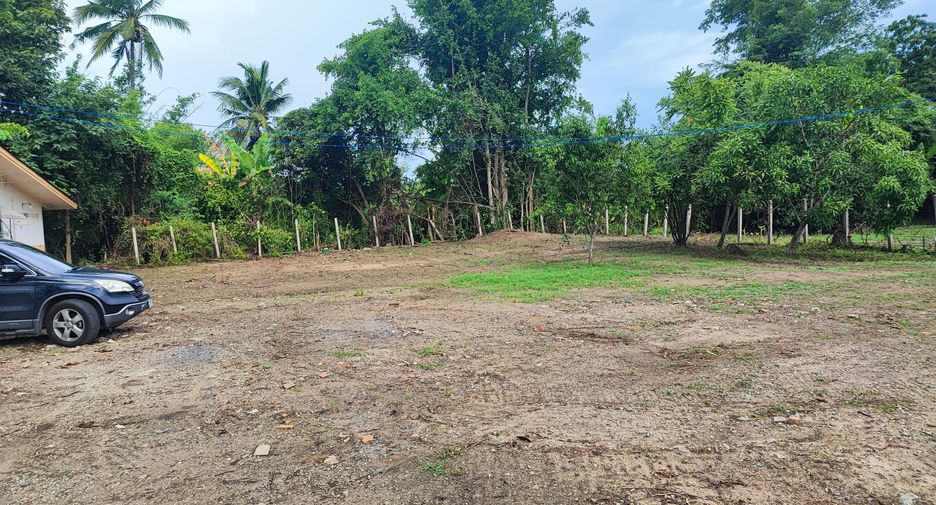 For sale land in Saraphi, Chiang Mai