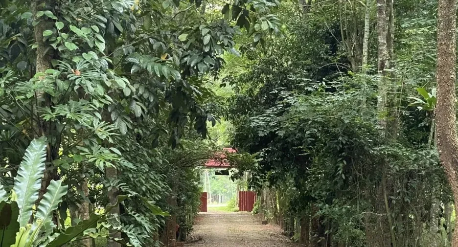 For sale 3 bedrooms house in Kong Ra, Phatthalung
