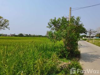 For sale land in San Kamphaeng, Chiang Mai