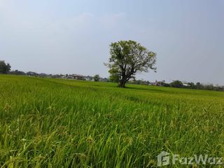 For sale land in San Kamphaeng, Chiang Mai