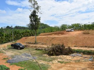 ขาย ที่ดิน ใน ตะกั่วทุ่ง, พังงา