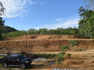 ขาย ที่ดิน ใน ตะกั่วทุ่ง, พังงา