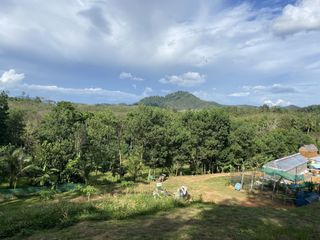 ขาย ที่ดิน ใน ตะกั่วทุ่ง, พังงา