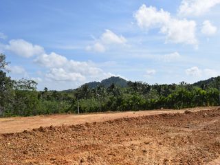 ขาย ที่ดิน ใน ตะกั่วทุ่ง, พังงา