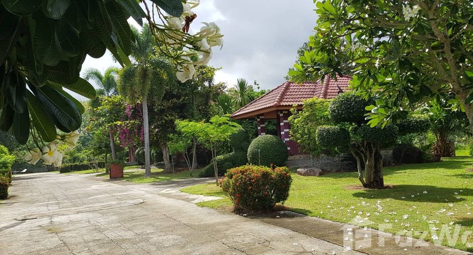 For sale land in Mae Chai, Phayao