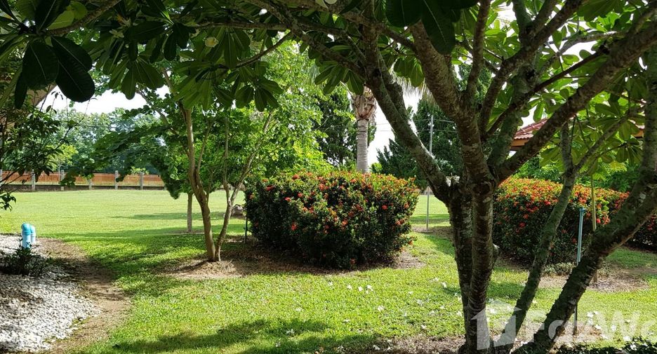 For sale land in Mae Chai, Phayao