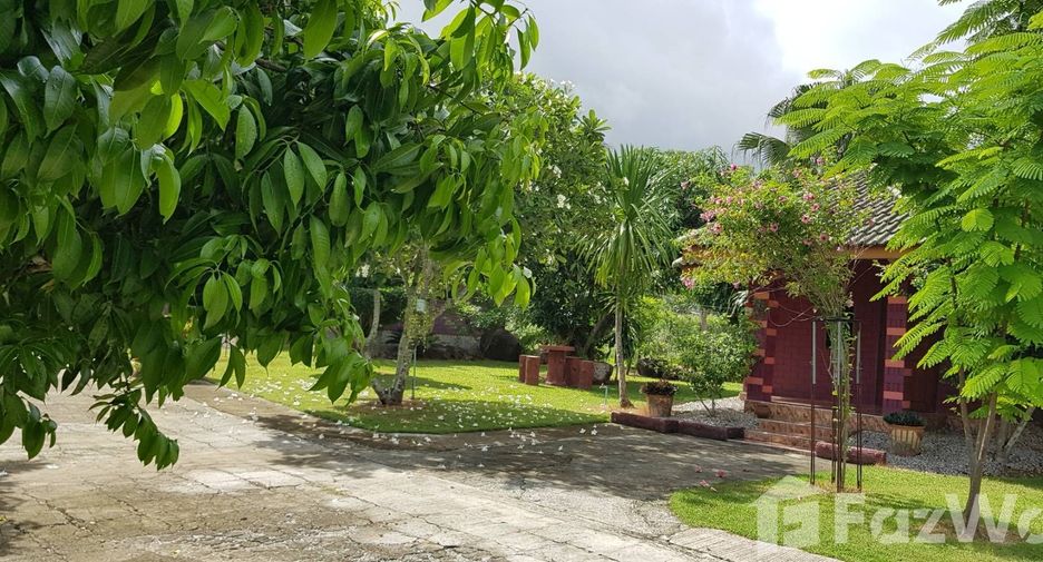 For sale land in Mae Chai, Phayao