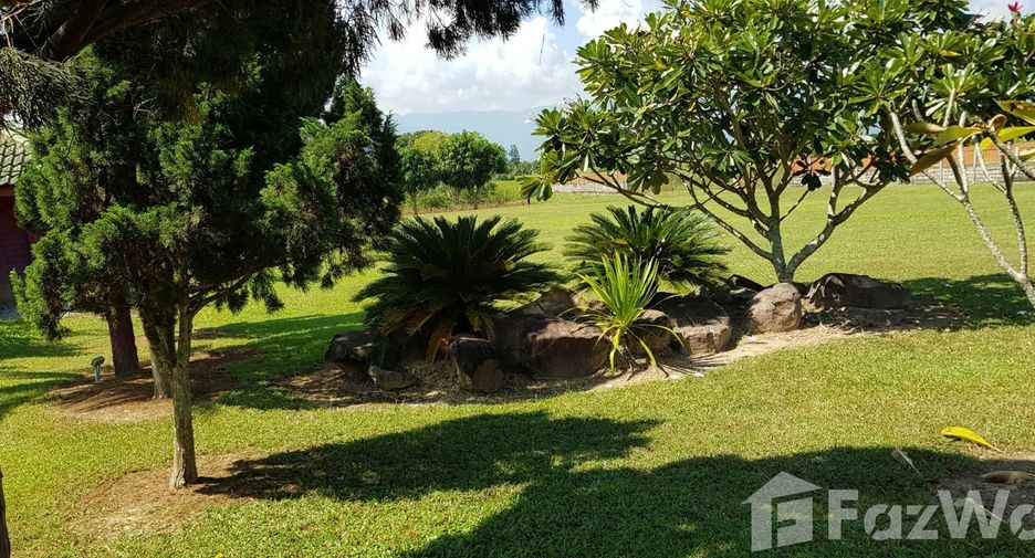 For sale land in Mae Chai, Phayao