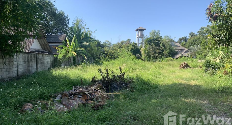 For sale land in San Sai, Chiang Mai