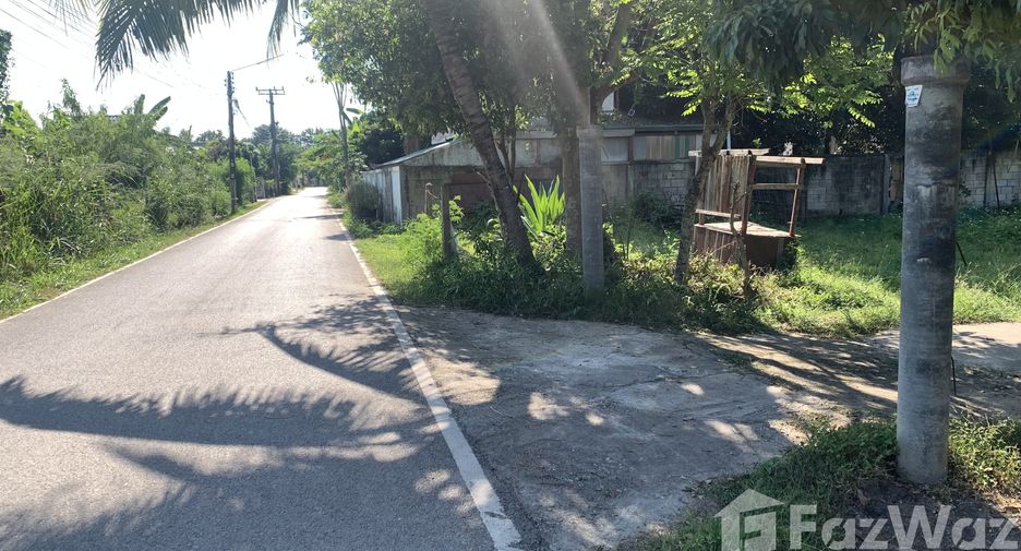 For sale land in San Sai, Chiang Mai