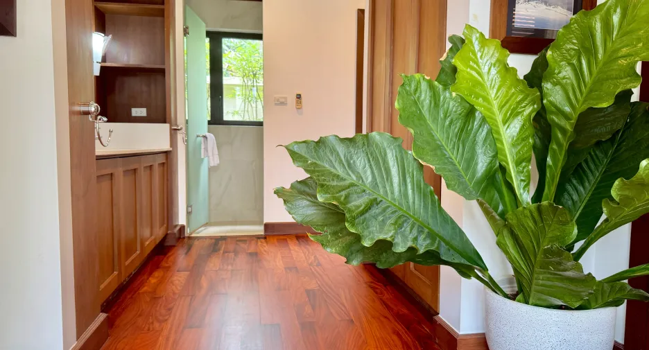 À vendre 5 chambres villa à Thalang, Phuket