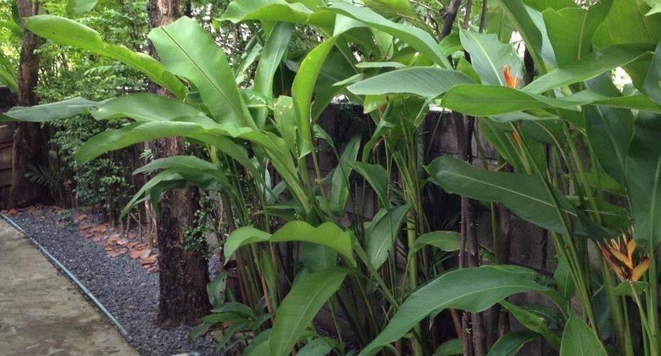 For sale 4 bedrooms house in Saphan Sung, Bangkok