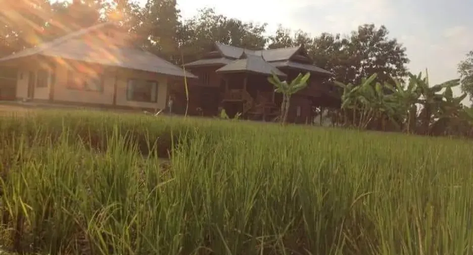 Grundstück zum Kauf in Doi Saket, Chiang Mai