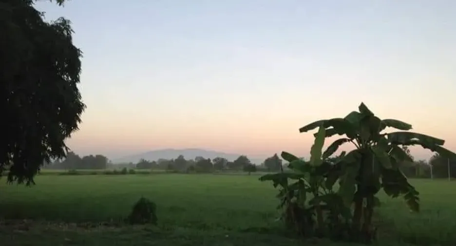 Grundstück zum Kauf in Doi Saket, Chiang Mai