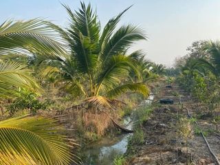 For sale land in San Kamphaeng, Chiang Mai