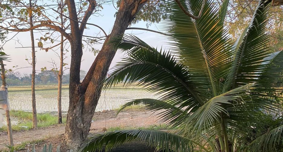 Grundstück zum Kauf in San Kamphaeng, Chiang Mai