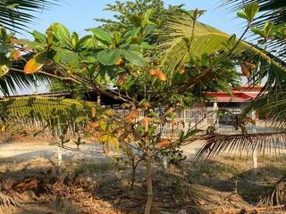 For sale land in San Kamphaeng, Chiang Mai