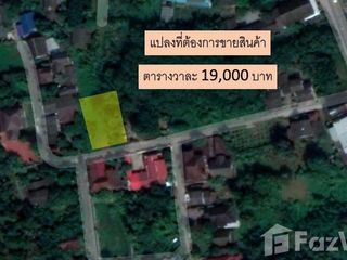For sale land in San Kamphaeng, Chiang Mai