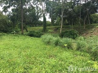 For sale land in Hang Dong, Chiang Mai