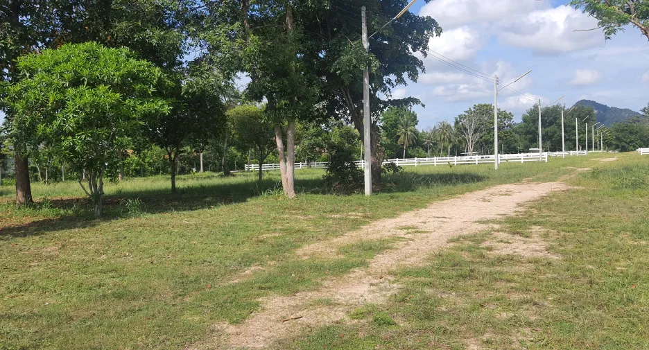 For sale land in Sattahip, Chonburi