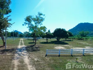 ขาย ที่ดิน ใน นาจอมเทียน, พัทยา