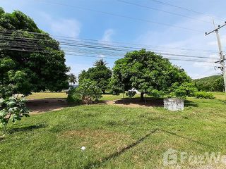 ขาย ที่ดิน ใน ปราณบุรี, ประจวบคีรีขันธ์