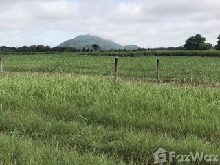 For sale land in Wichian Buri, Phetchabun