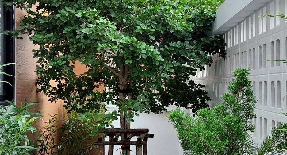 ขาย 3 ห้องนอน วิลล่า ใน บางละมุง, ชลบุรี