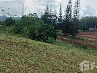 Продажа Участок в Khao Kho, Phetchabun