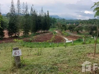 Продажа Участок в Khao Kho, Phetchabun