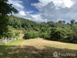For sale land in Chiang Dao, Chiang Mai