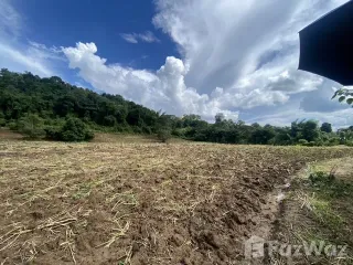 For sale land in Chiang Dao, Chiang Mai