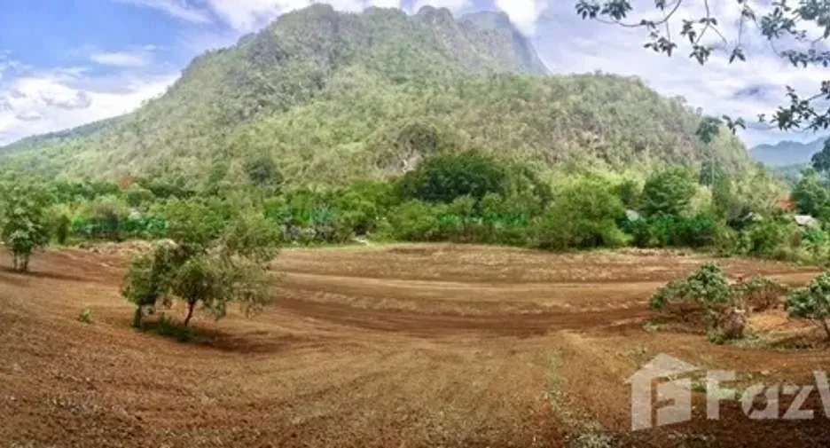 For sale land in Chiang Dao, Chiang Mai