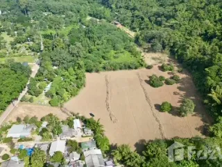For sale land in Chiang Dao, Chiang Mai