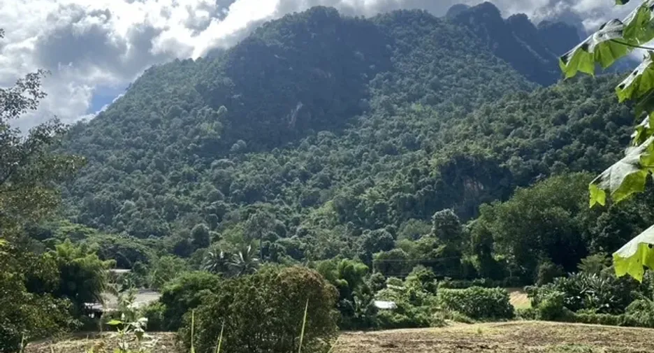 For sale land in Chiang Dao, Chiang Mai