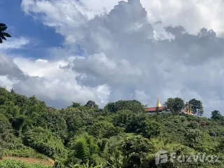 For sale land in Chiang Dao, Chiang Mai