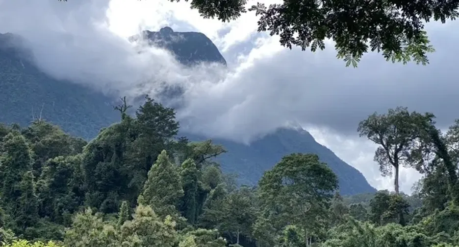 For sale land in Chiang Dao, Chiang Mai