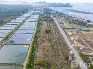 ขาย ที่ดิน ใน กุยบุรี, ประจวบคีรีขันธ์