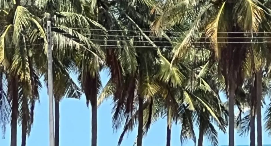 À vendre terrain à Kui Buri, Prachuap Khiri Khan