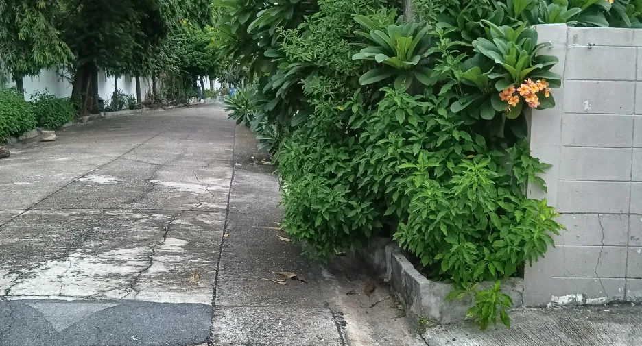 Grundstück zum Kauf in Bang Khen, Bangkok