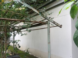Grundstück zum Kauf in Bang Khen, Bangkok