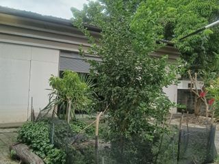 For sale land in Bang Khen, Bangkok