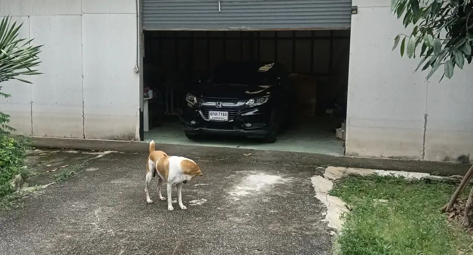 Grundstück zum Kauf in Bang Khen, Bangkok