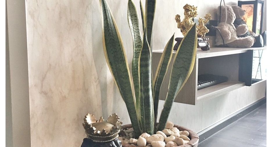 For sale and for rent 1 bed condo in Huai Khwang, Bangkok