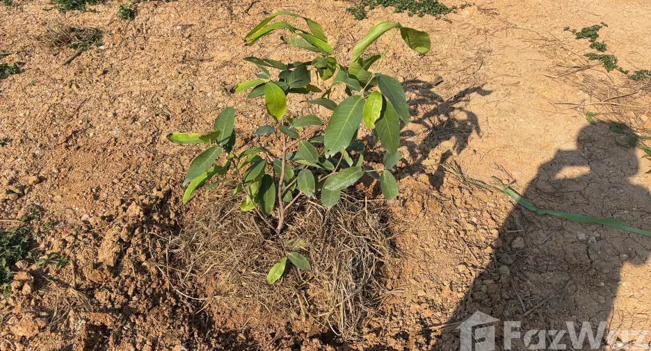 For sale land in Mueang Phrae, Phrae