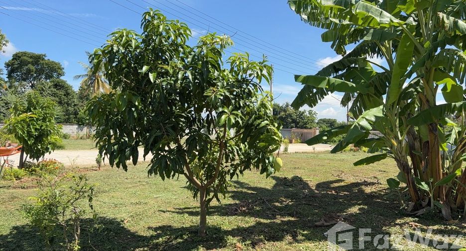 For sale land in Mueang Phrae, Phrae