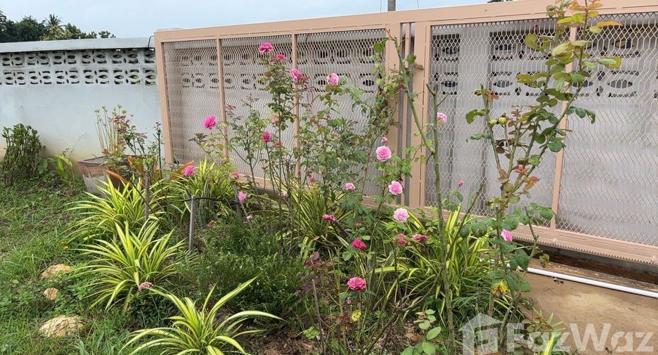 For sale land in Mueang Phrae, Phrae
